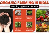 State of origin 2022 hi-res stock photography and images - Alamy State of origin 2022 hi-res stock photography and images - Alamy