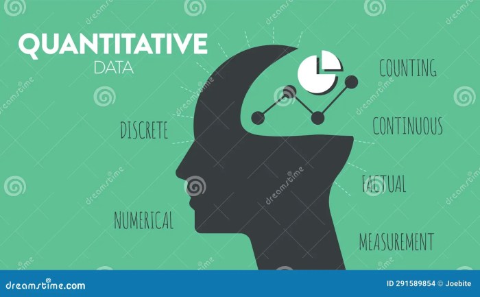 What is qualitative data